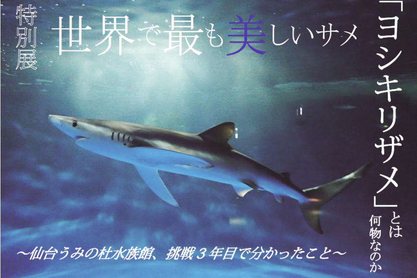 スタッフブログ 仙台のビジネスホテルならホテルグリーンセレク 公式 スタッフブログ 仙台のビジネスホテルならホテルグリーンセレク 公式
