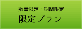 公式サイトのみの限定プラン